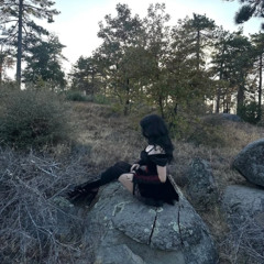 abyst - RAIDER