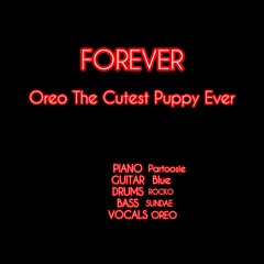 FOREVER (slowed + reverb)