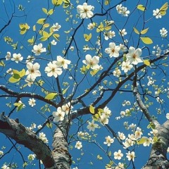 FRIENDLY THUG 52 NGG - AIST (Dop Kat Remix)