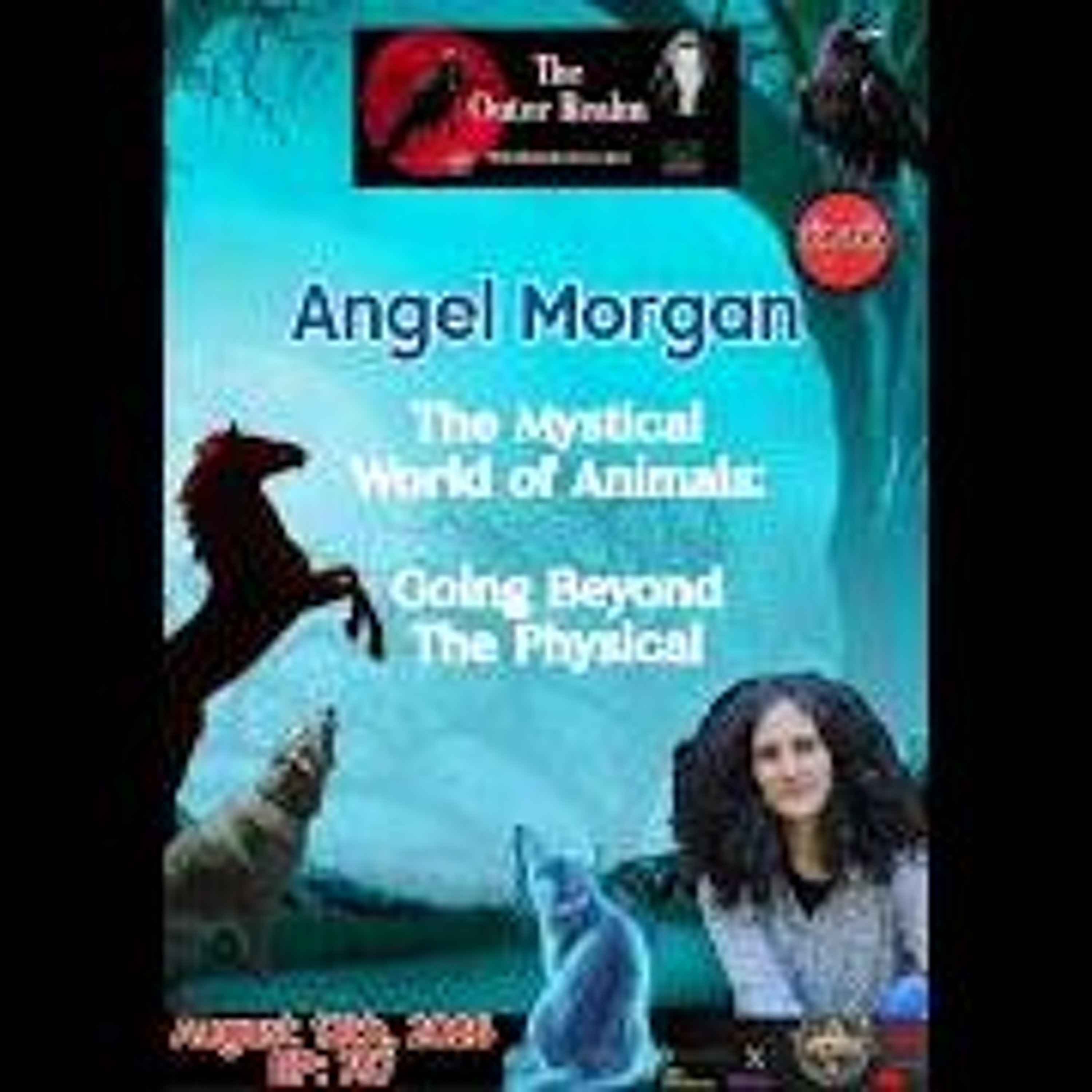 The Outer Realm- The Mystical World of Animals-Going Beyond the Physical with Angel Morgan episode artwork