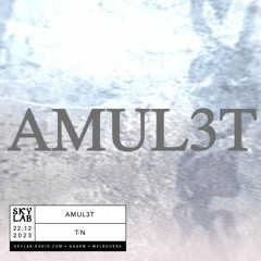 AMUL3T Ep. 1 - Skylab Radio