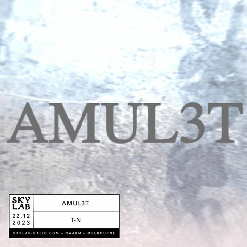 AMUL3T Ep. 1 - Skylab Radio