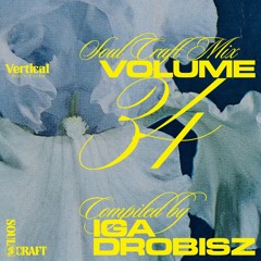 Soul Craft Vol. 34 // Iga Drobisz