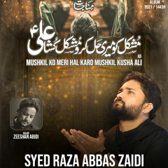 Mushkil Ko Meri Hal Karo Mushkil Kusha Ali (a.s)  --  Syed Raza Abbas Zaidi  --  Munajat  -  2021