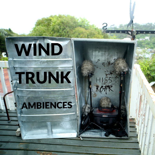 AMB024 WIND TRUNK Preview