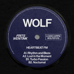 PREMIERE: Frits Wentink - Turbo Passion [Wolf Music]