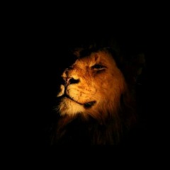 DADDY OLDZCOOL @ Session (11/23)