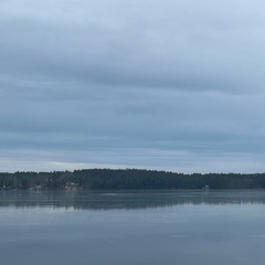 Bark Psychosis - Absent Friend | Cover WIP