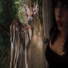 lemon fit! (prod. zepsoswag)