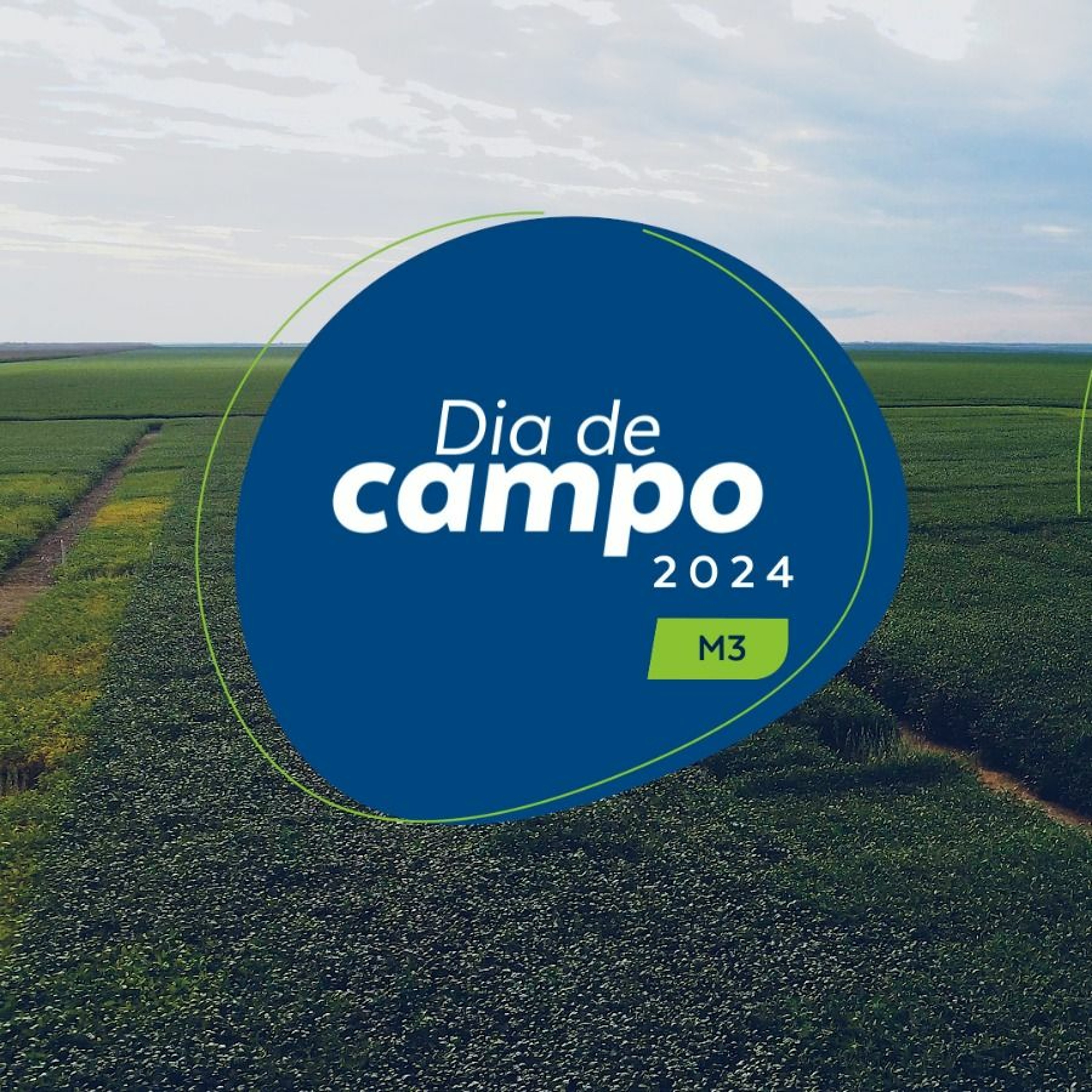 Momento AGRO Brasmax
