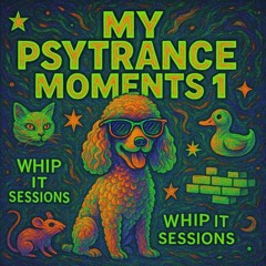 My Psytrance Moments 1 🎧 May 2025 🚀 138 BPM ❤️ Whip It 060