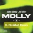 Cedric Gervais & Joel Corry - Molly (DJ SoWhat Remix)