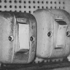 True Vine b2b Sinopoli at Floyd