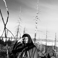 223s (Prod. pyctur) ft. Leo