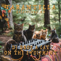 Selections 65 - DJ Drop a Cat on the Equipment