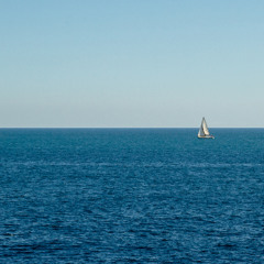 Analogue Sea