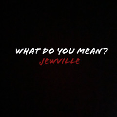 What Do You Mean?