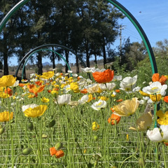 나랑 도망가자 - 밍기뉴