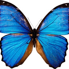 Crying in the sun (prod. Cloudisc)