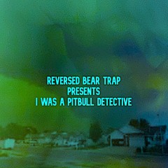 I Was A Pitbull Detective
