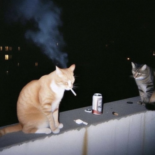 bored [shvrs]