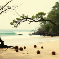 Victory Between the Trees and Ocean Breeze