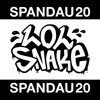 SPND20 Mixtape by LOLSNAKE DJ mix artwork - Electronic music tracklist cover image