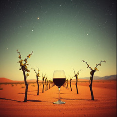 Where Vines Caress the Sky