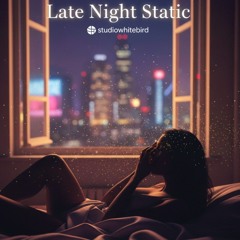 Late Night Static