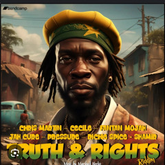 1 Truth And Rights Riddim Mixed By