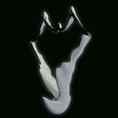 phymata
