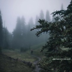 Ambience
