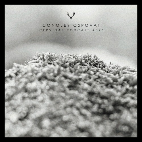 Cervidae Podcast # 046 - Conoley Ospovat