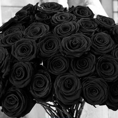 Seniorita Seni  & Leny Da Fam – 27 Czarnych Róż