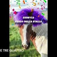 Einwyls - STO PERSO NELLA STALLA