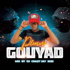 Pleasure  GOUYAD  MIX BY  DJ CRAZY JAY  2023