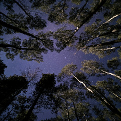 Mending Constellations