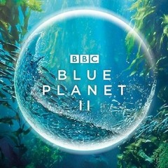 Blue Planet ll Theme - Hanz Zimmer (Slowed)