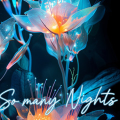 So Many Nights (extended mix)