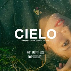 (FREE) B Young ft Tems & Omah Lay Type Beat "Cielo" | Free Beat | Afrobeat Instrumental 2023