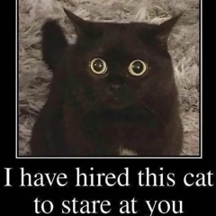 sam-wow.wow/puppypile=w=.mp3