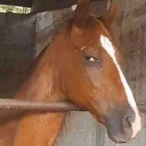 Dadju & Tayc - Bocca & Cuba Libre