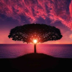 SeeItIGotIt