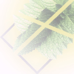 hate the mint produced by Ssumwayy