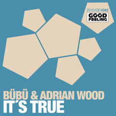 It's True (Dub Mix)