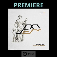 PREMIERE: Shayan Pasha - Leaves On The Wall [Movement Limited]