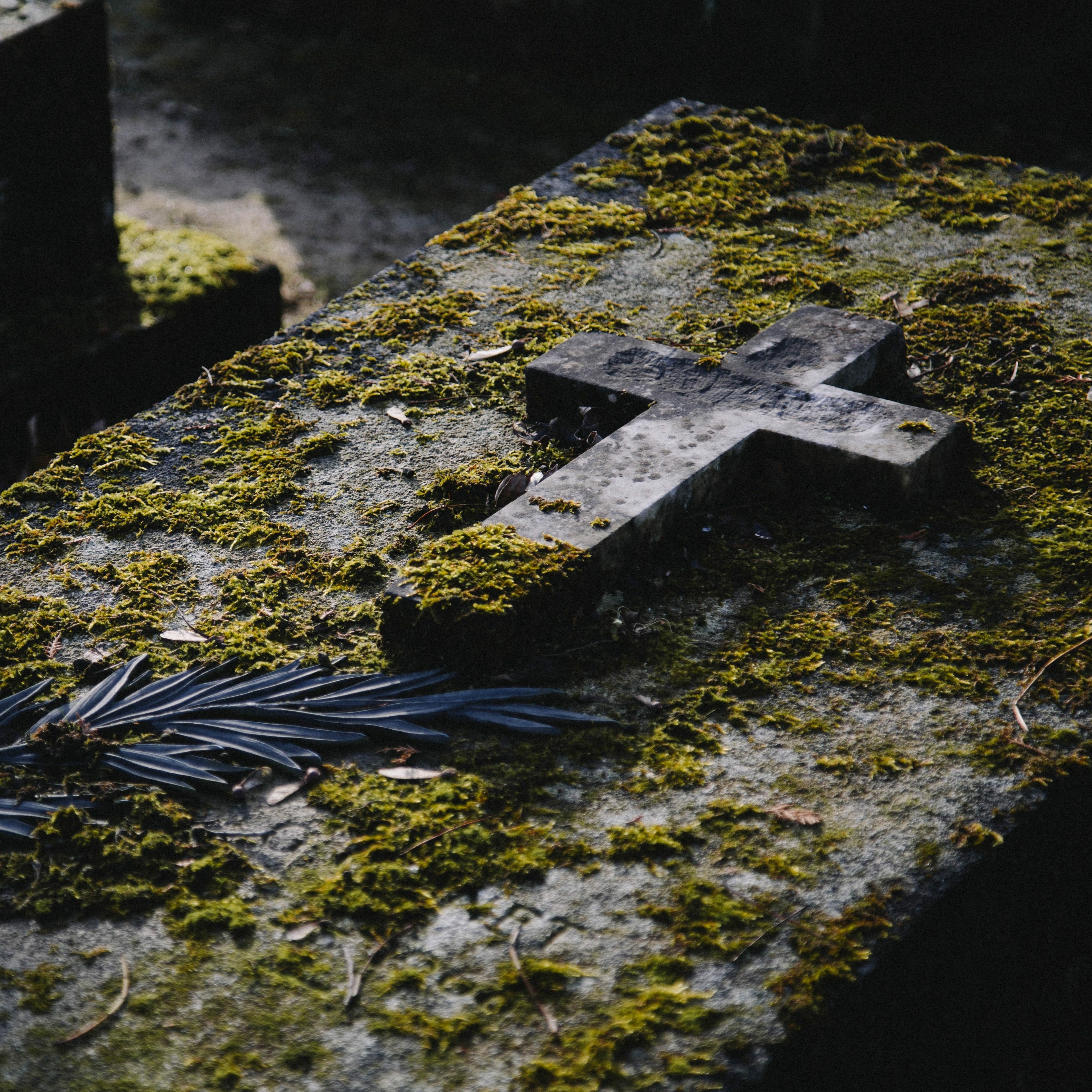 Hope for the Grieving - 1 Thessalonians 4:13-18 - 10-31-21 Service episode artwork