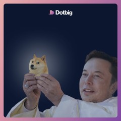 Elon’s Anniversary Tweet Surges DOGE Price To Over +110% - Crypto Digest Review From Dotbig