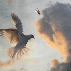 giving up, giving love