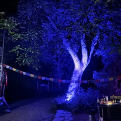 Waldschule Solingen 19.07.25